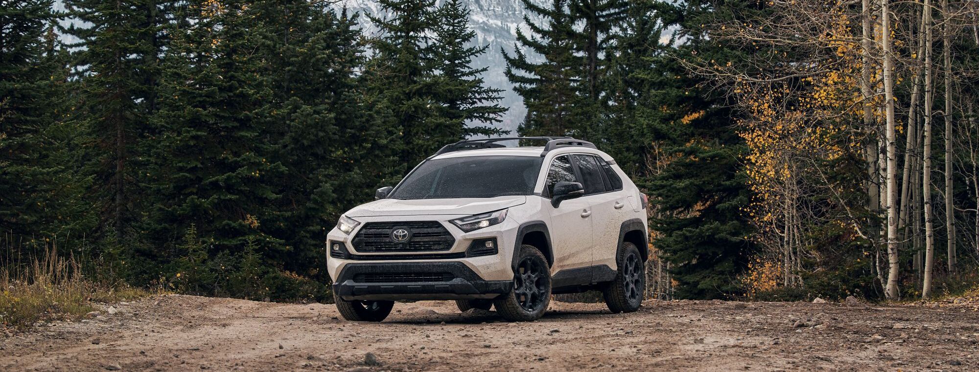 Rocker Panel Kit | TOYOTA RAV4 US TRD OFF ROAD 2020 Rocker Panel Kit | TOYOTA RAV4 US TRD OFF ROAD 2020