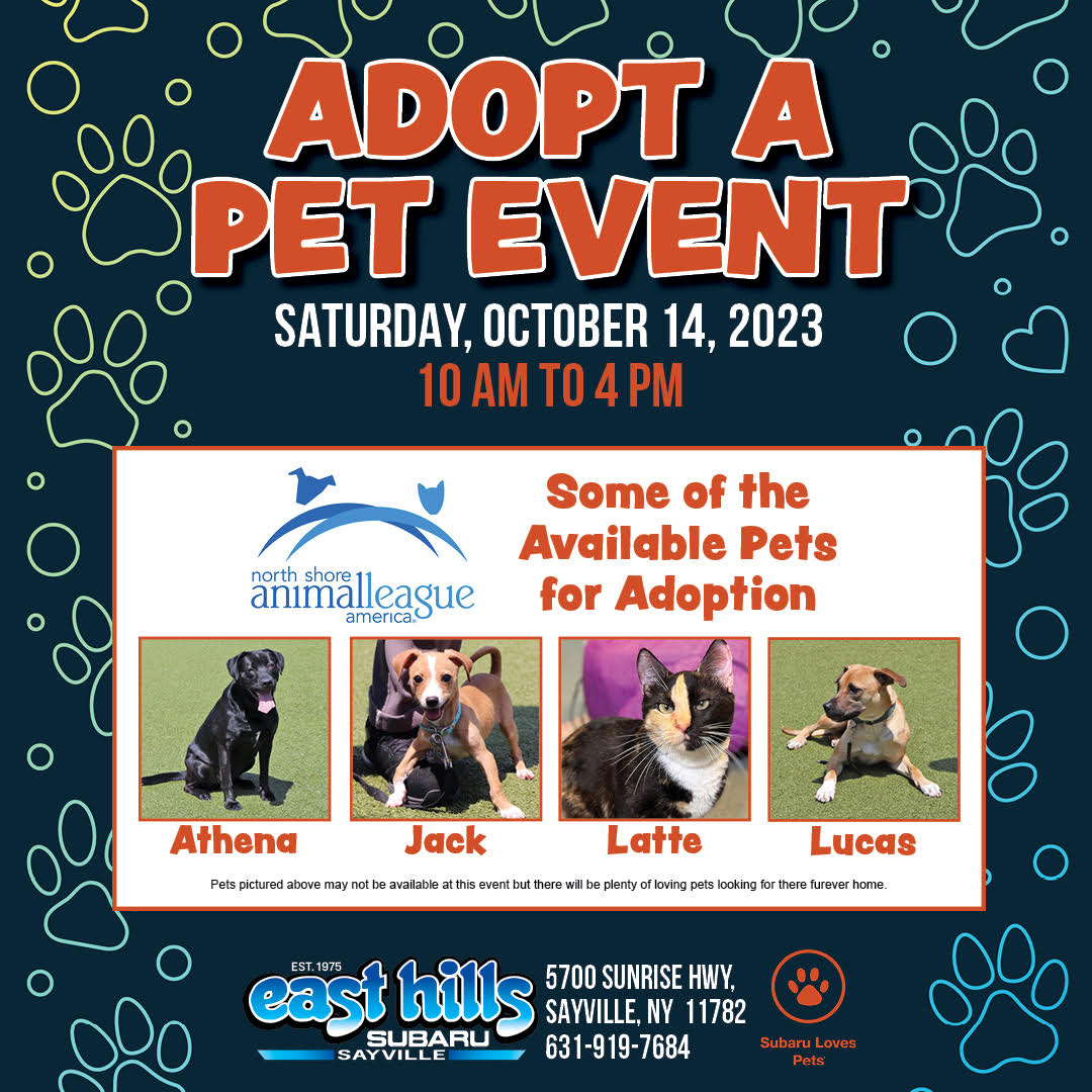 Adopt a Pet Event East Hills Subaru of Sayville