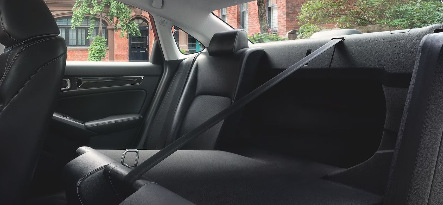 2024 Honda Civic Sedan Back Row