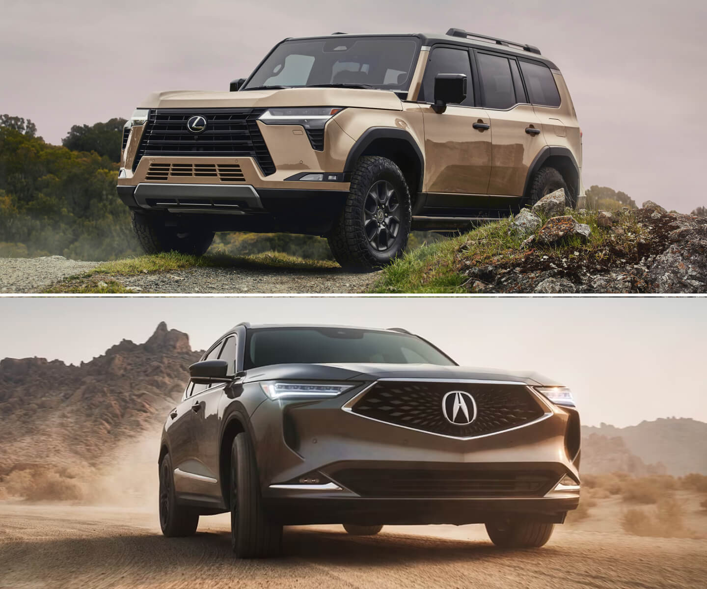 Lexus Vs. Acura 2024 Brand Comparison Of Japanese Luxury