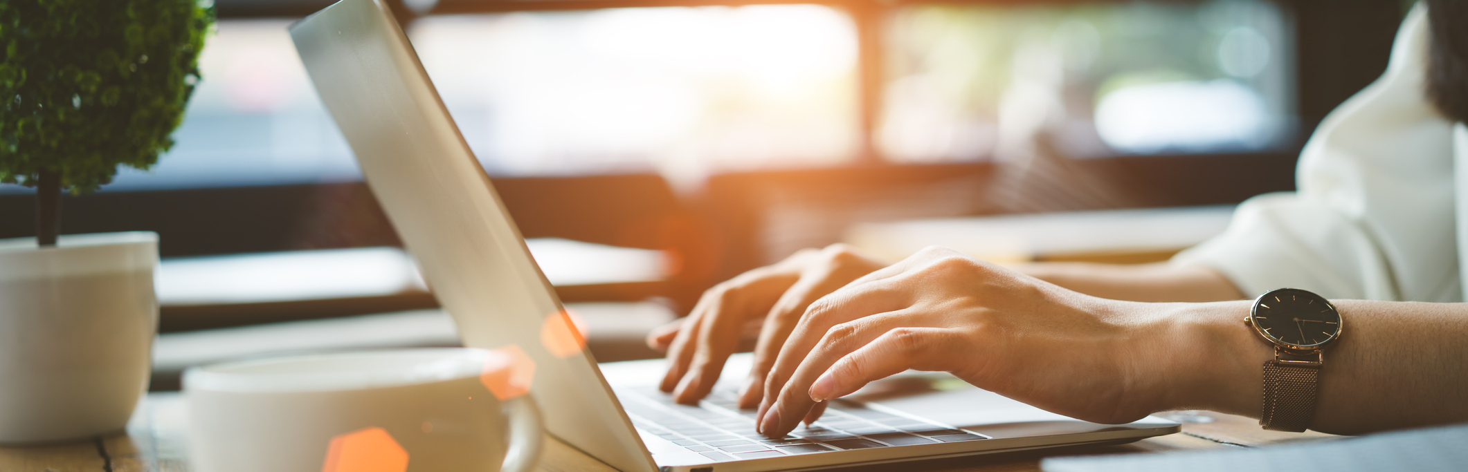 Schedule An Appointment Online Today!