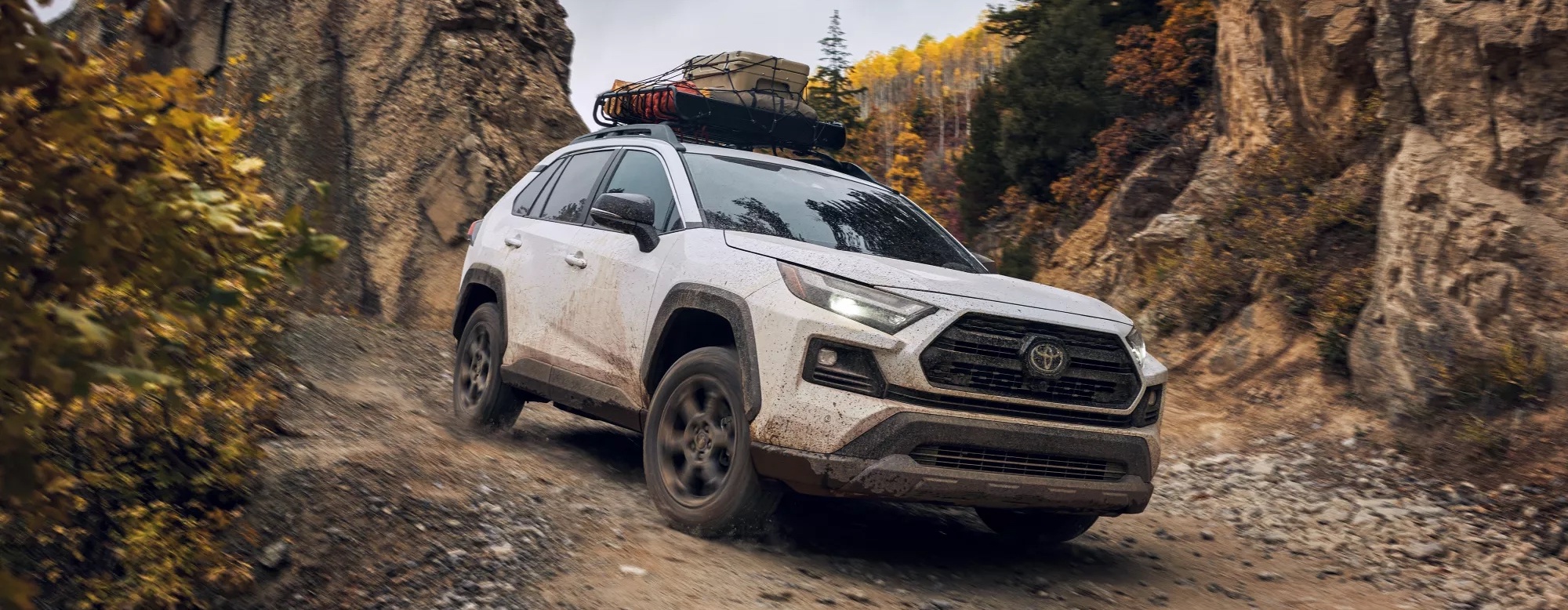 2025 Toyota RAV4 Hybrid for Sale near Quincy, MA Toyota of Braintree