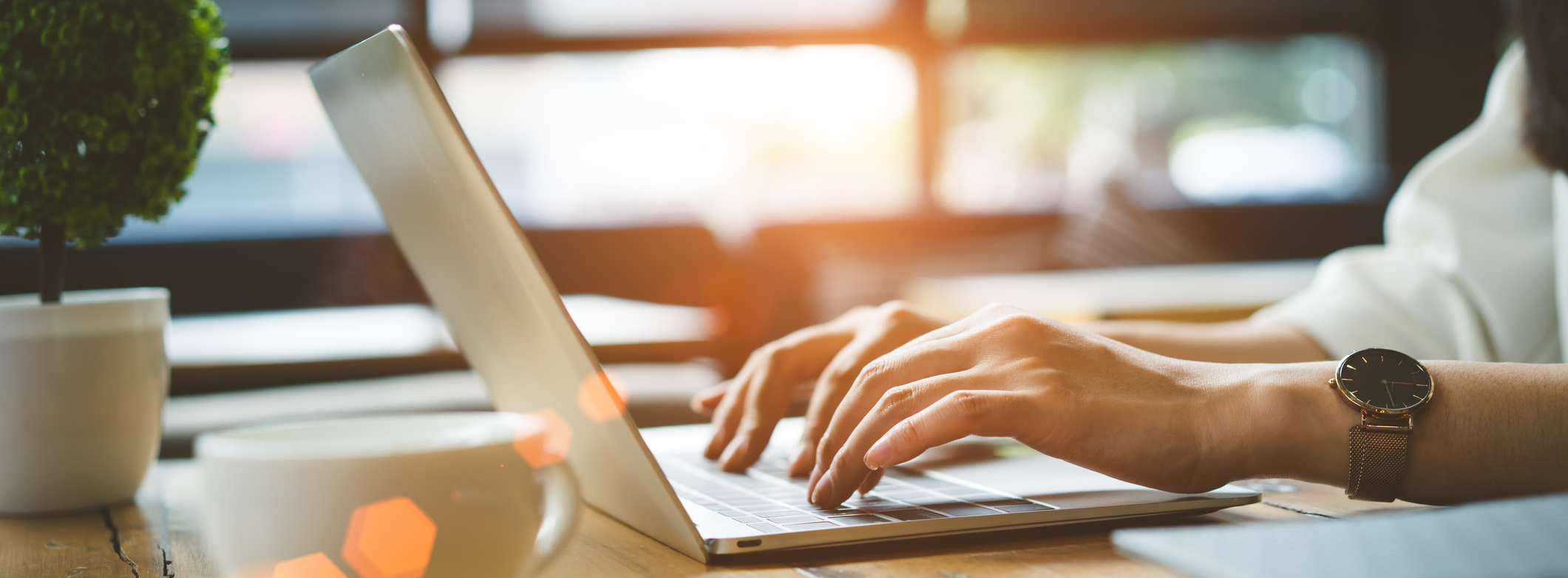 Schedule an Appointment Online!