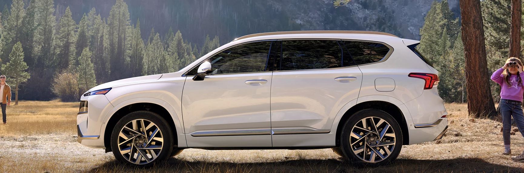 Rocker Panel Kit | HYUNDAI SANTA FE PREFERRED 2023