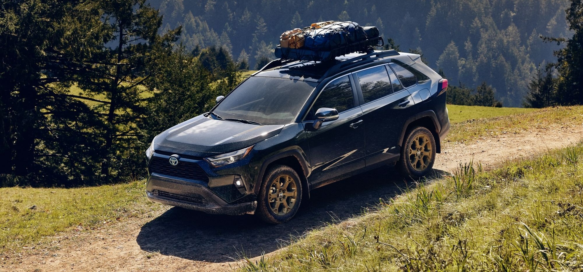 2024 Toyota RAV4 Overview