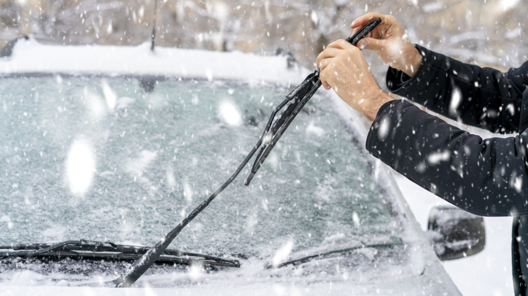 Winterize Your Lexus in Merrillville, IN