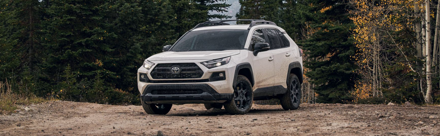 2024 Toyota RAV4 for Sale near Columbia, MD