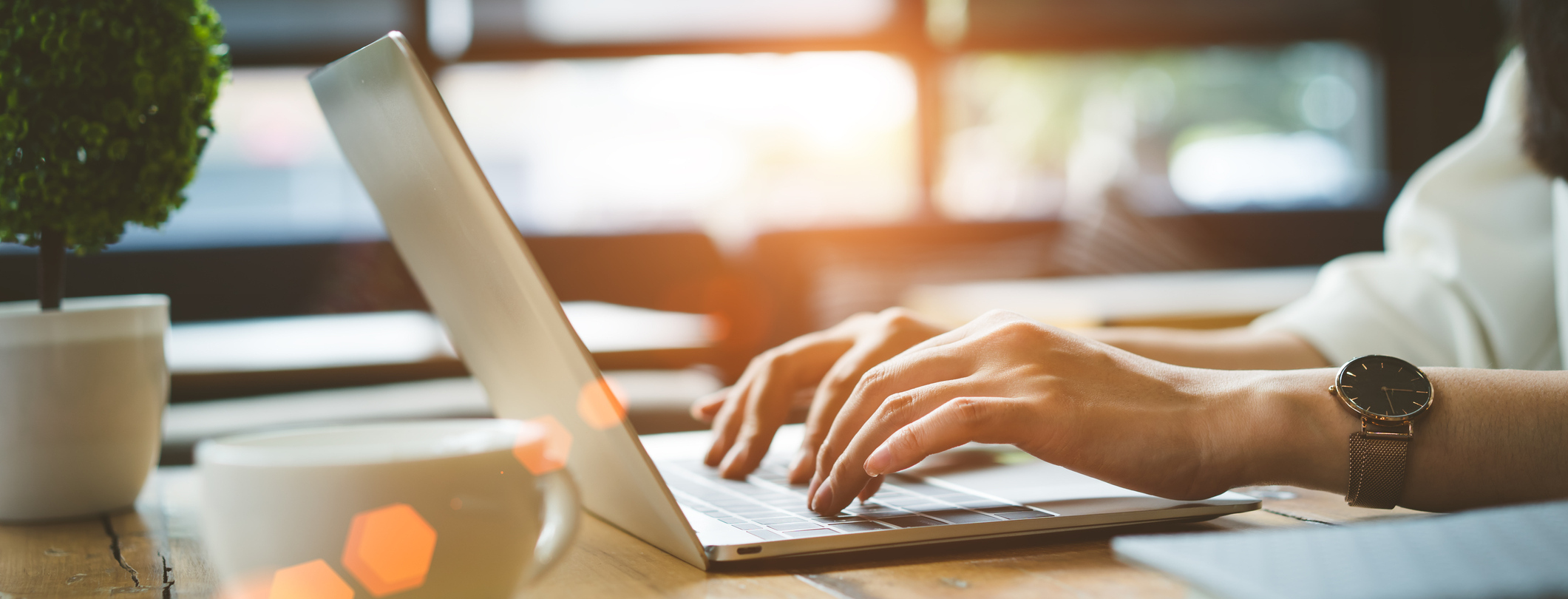 Check Out Our Inventory Online!