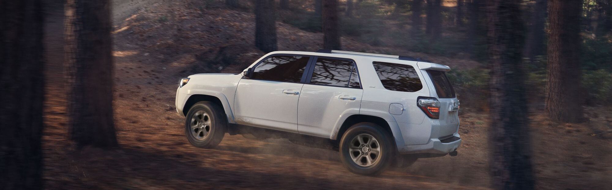 2024 Toyota 4Runner for Sale near De Pere, WI Le Mieux Toyota