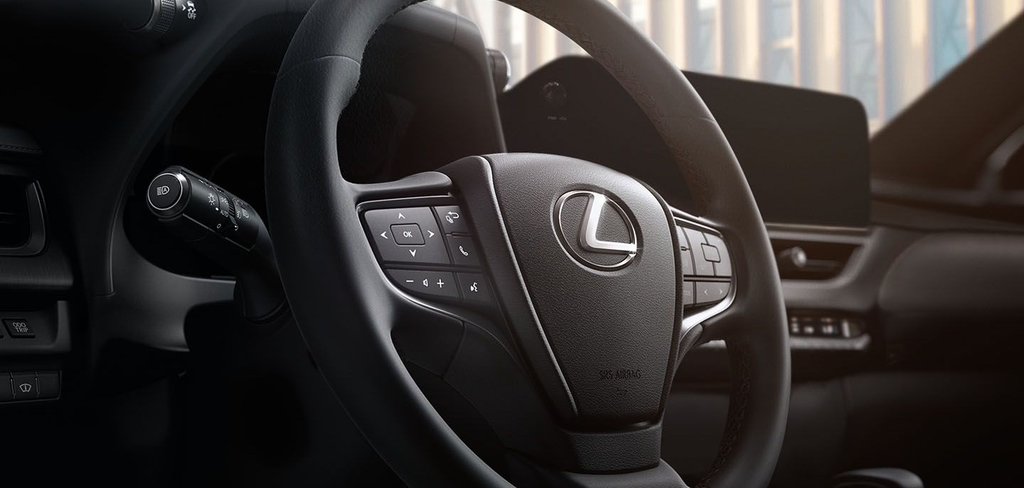 2024 Lexus UX 250h Driver Controls
