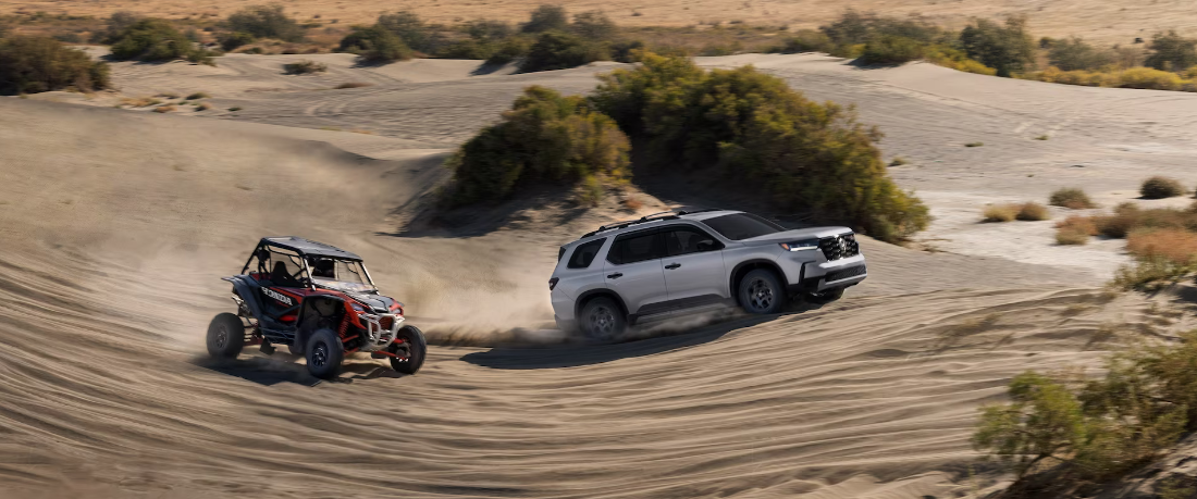 2024 Honda Pilot for Sale in Chantilly, VA