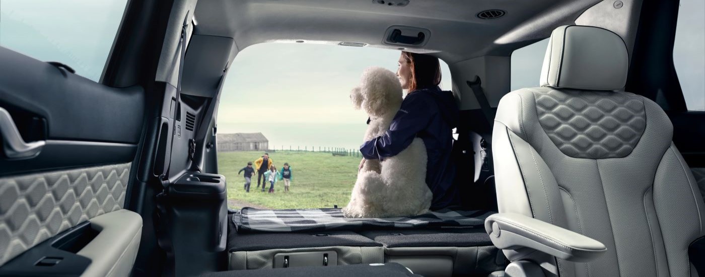 A person and dog are shown in the back of a 2020 Hyundai Palisade.