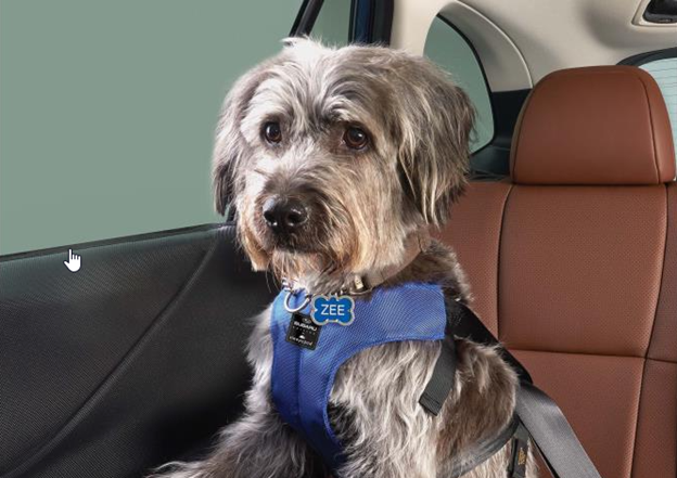 Subaru Pet Harnesses for Your  car