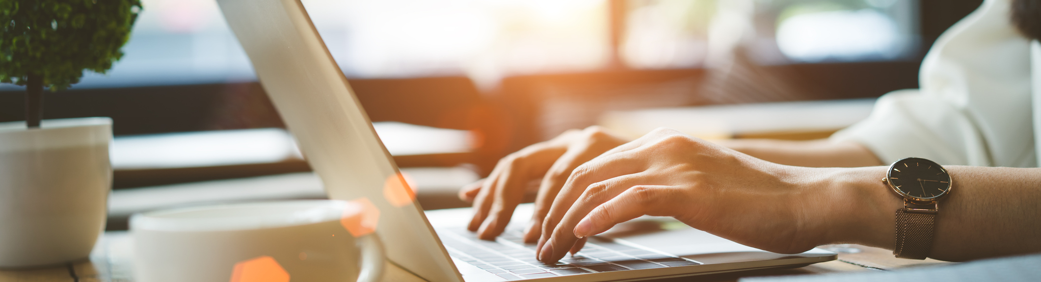 Schedule An Appointment Online Today!