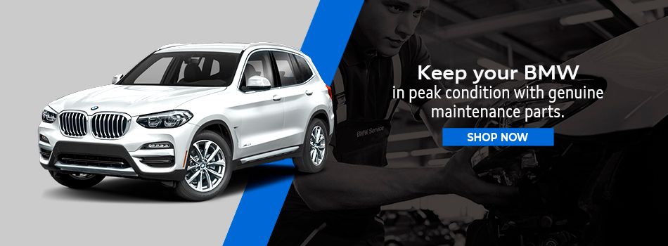 Schedule Vehicle Service Appointment - Moses BMW