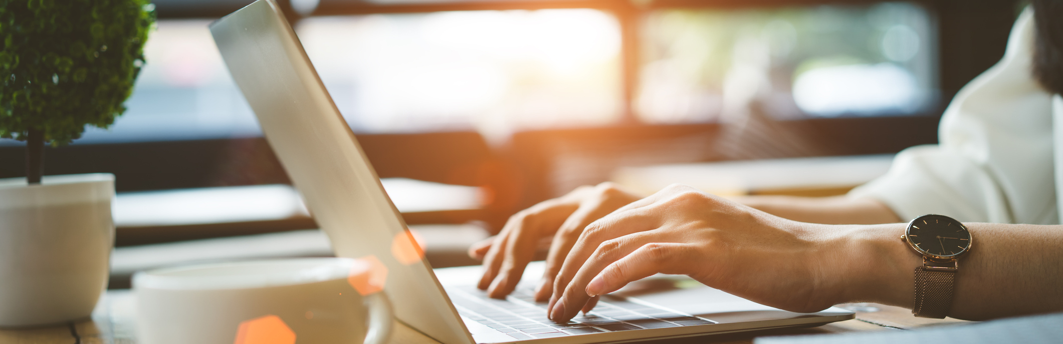 Schedule An Appointment Online Today!