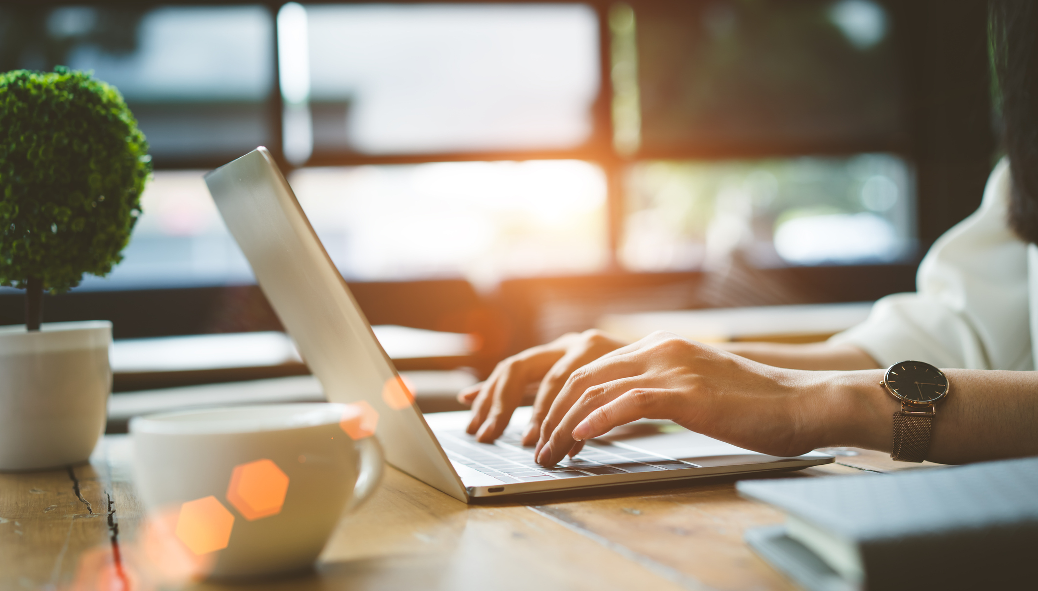 View Our Online Inventory!