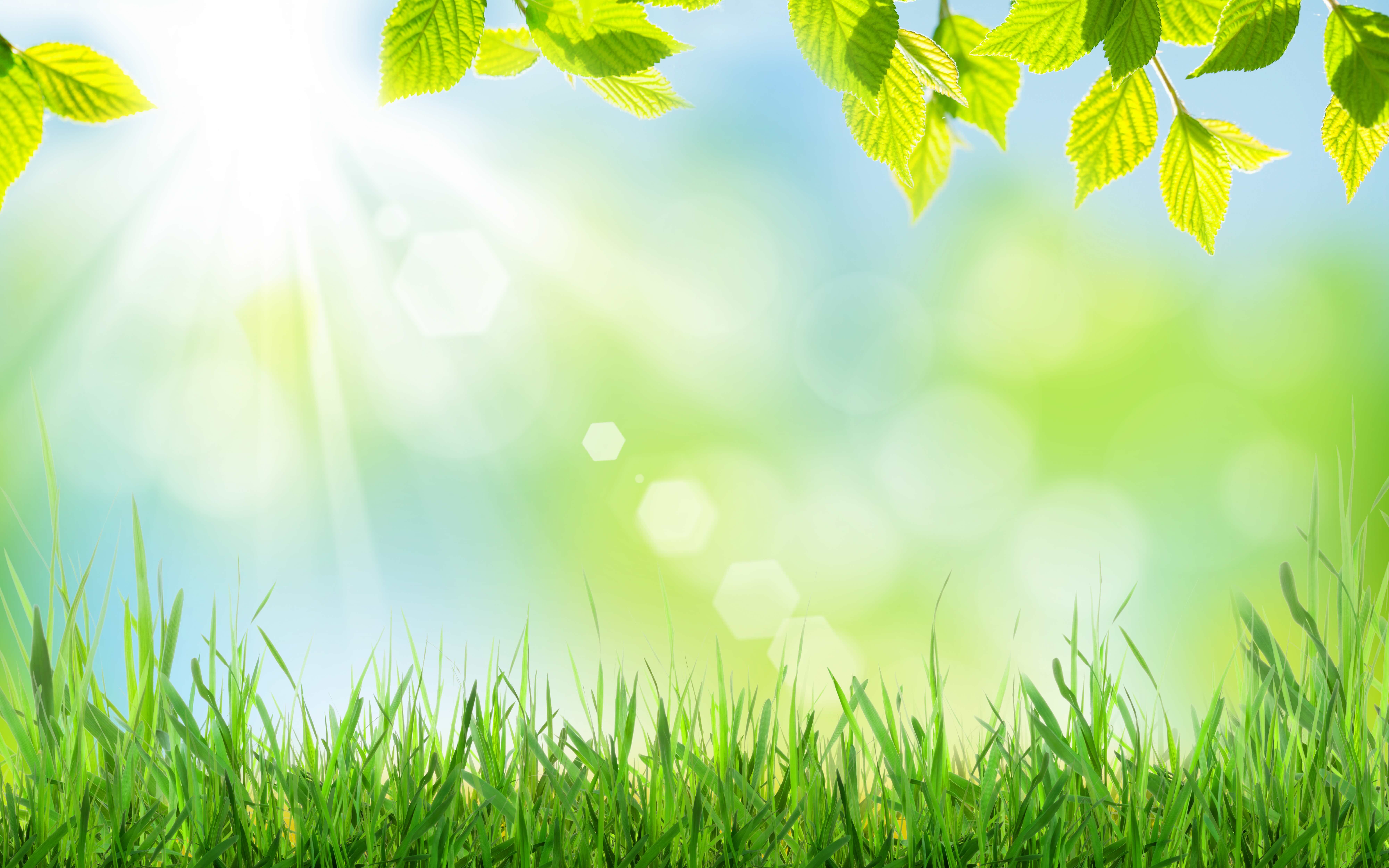 Prepare Your Vehicle for Spring Travel!