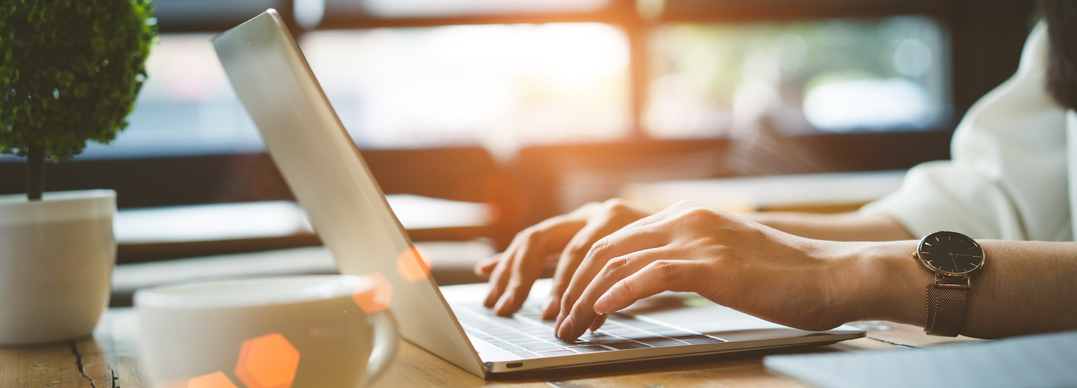 Schedule An Appointment Online Today!