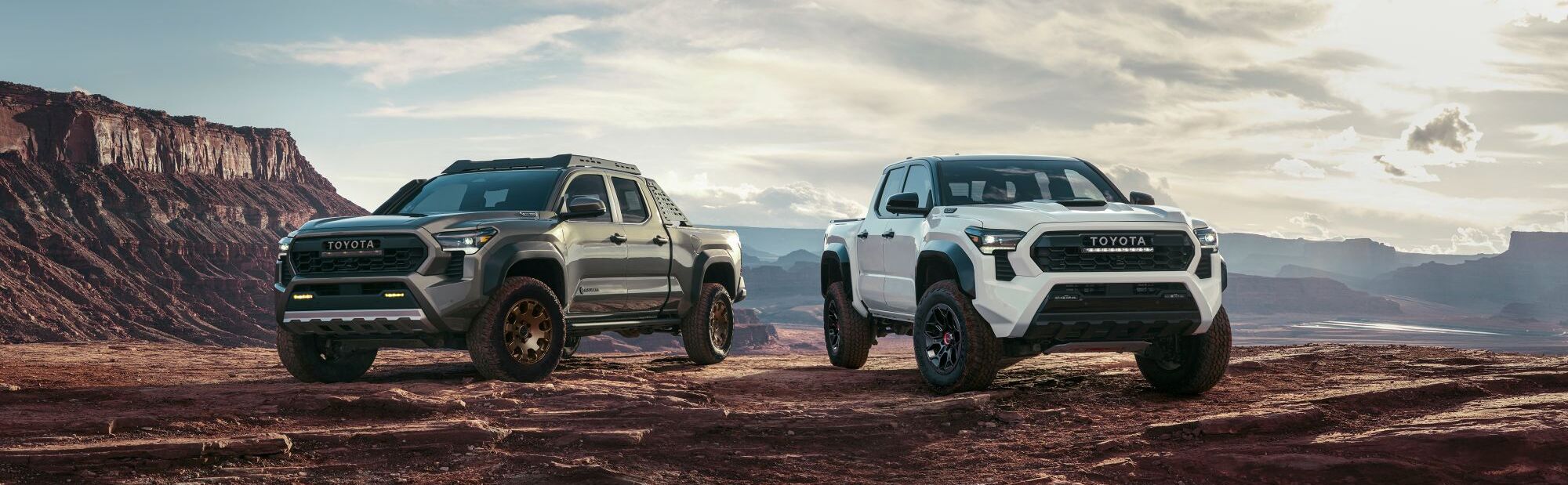2024 Toyota Tacoma for Sale near Santa Barbara, CA