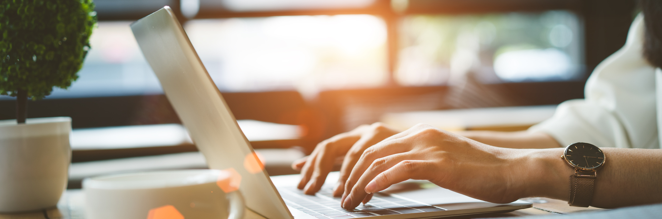 Schedule An Appointment Online Today!