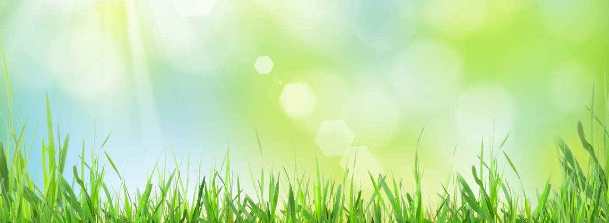 Nissan Spring Service and Maintenance near Woodbridge, VA