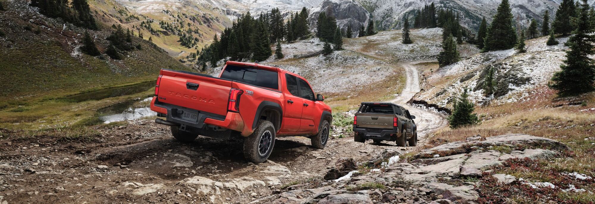 2024 Toyota Tacoma for Sale near Richmond, VA