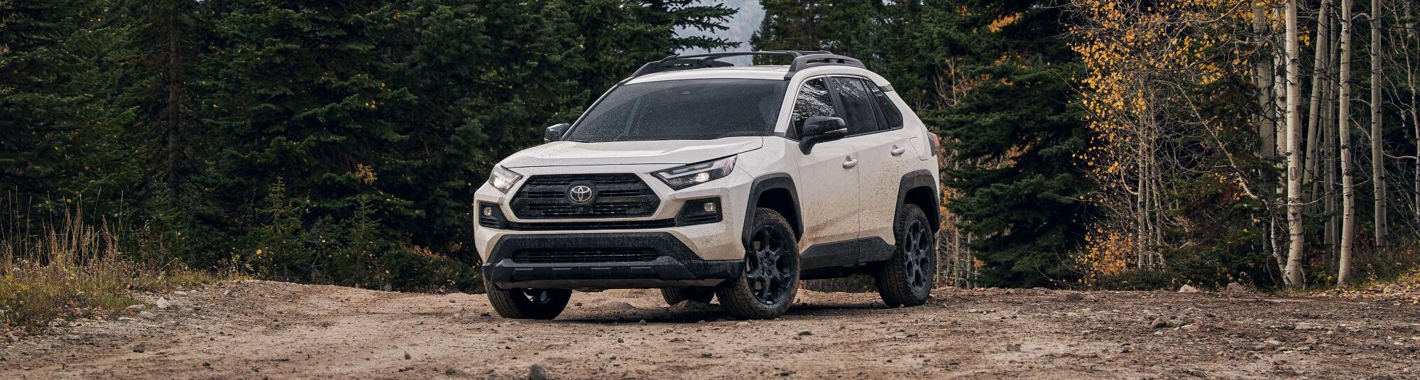 2024 Toyota RAV4 for Sale near West Des Moines, IA - Toyota of Des Moines