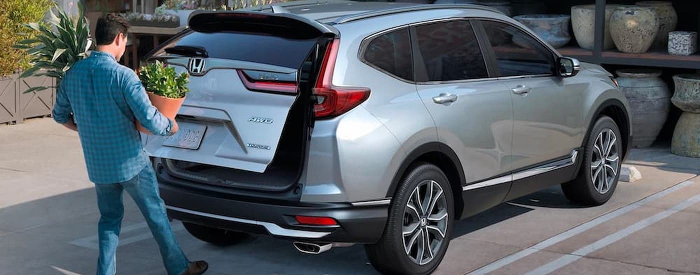 A man is putting plants in the cargo area of a silver 2022 Honda CR-V.