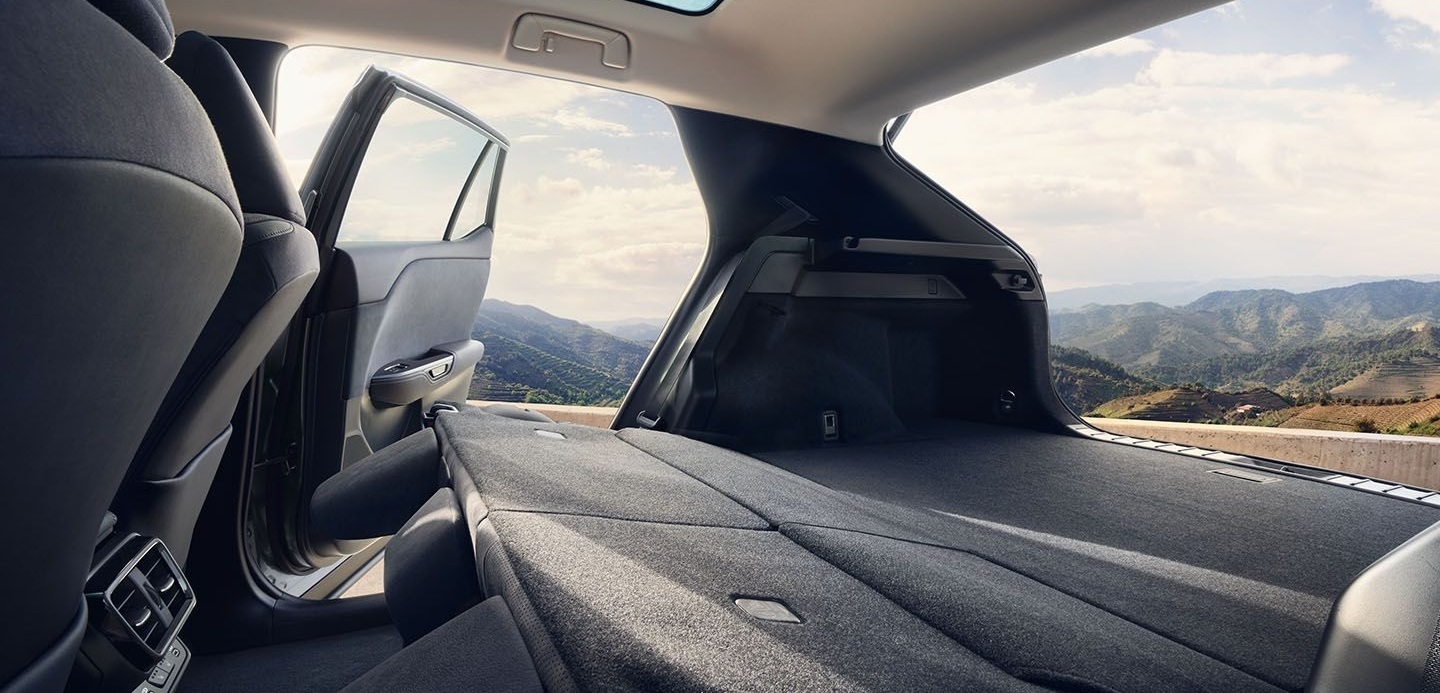 2024 Lexus RZ 300e Cargo Area