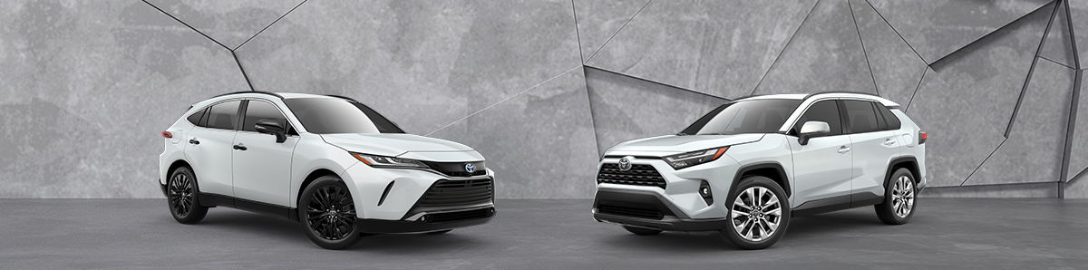 2024 Toyota Venza vs 2024 Toyota Rav4 Review - Future Toyota