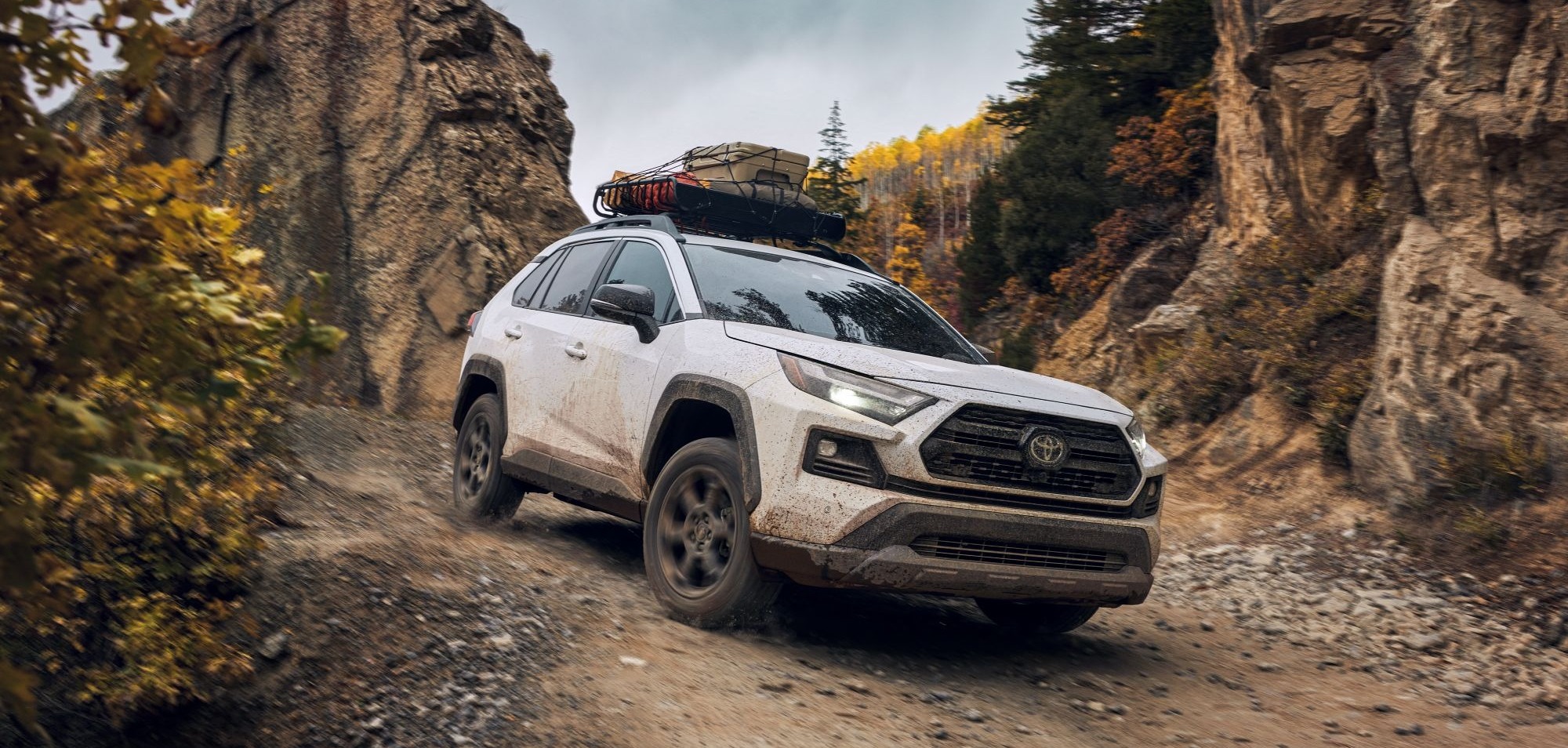 2024 Toyota RAV4 vs 2024 Nissan Rogue near Des Moines, IA