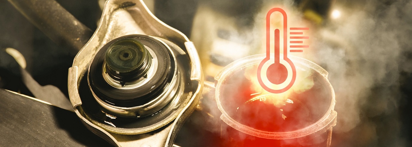 Honda Coolant Service in Loves Park, IL