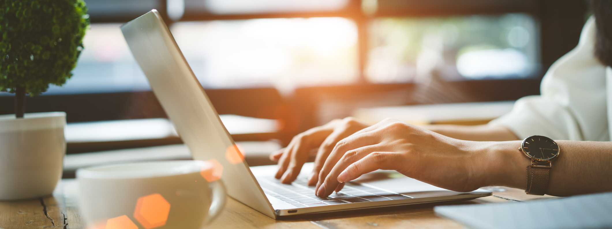 Check Out Our Online Tools!