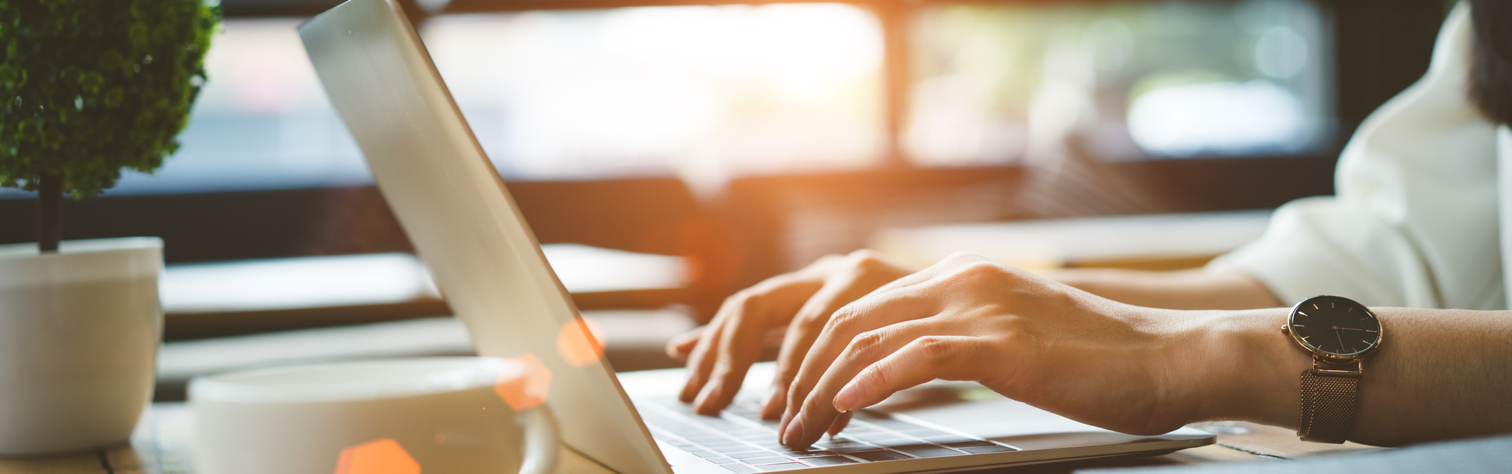 Schedule An Appointment Online Today!