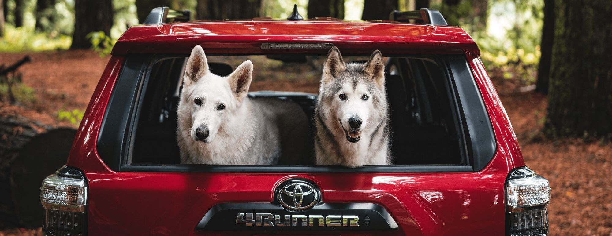2024 Toyota 4Runner Trunk Access