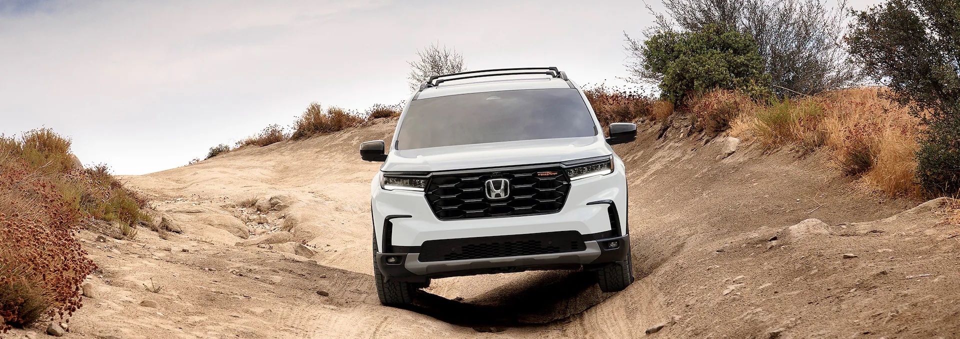 2024 Honda Pilot for Sale near Arlington, VA