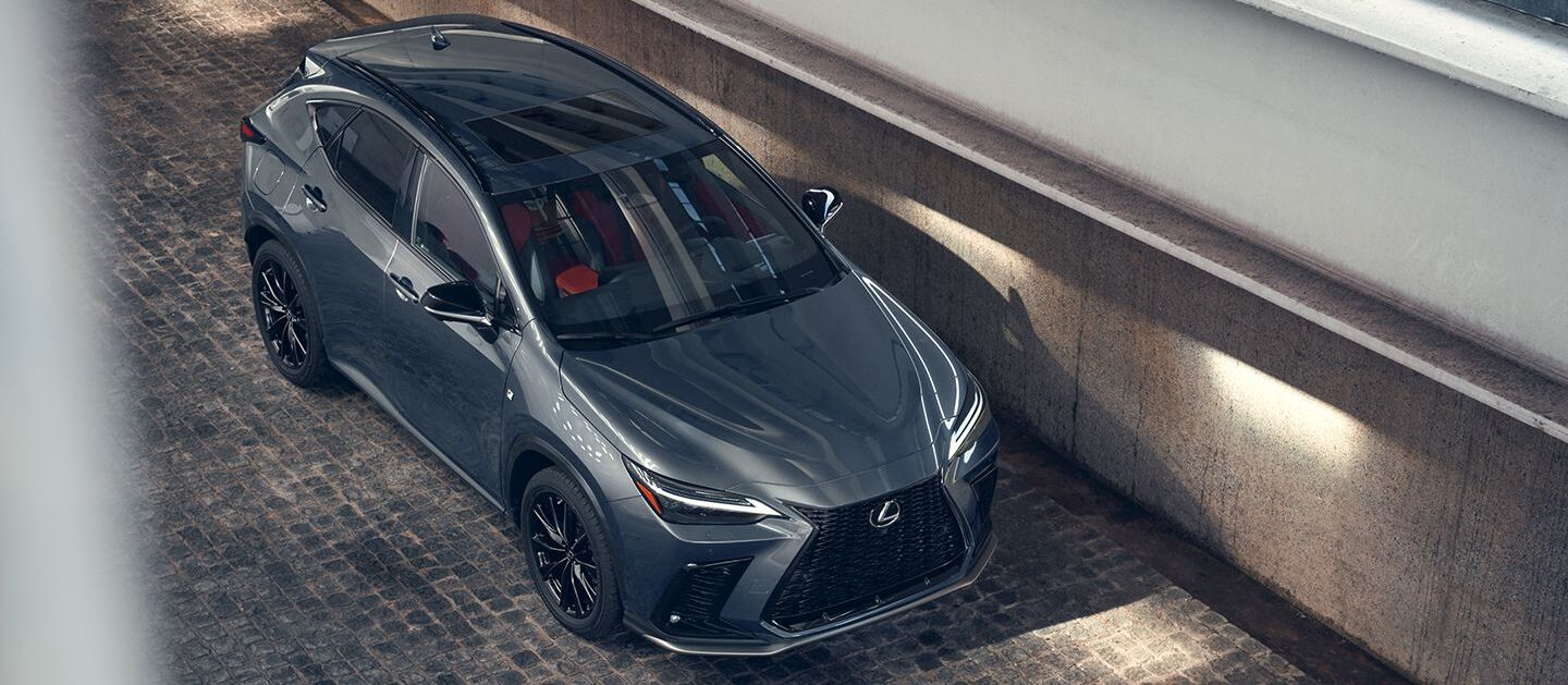 2025 Lexus NX 350 for Sale near Smithtown, NY