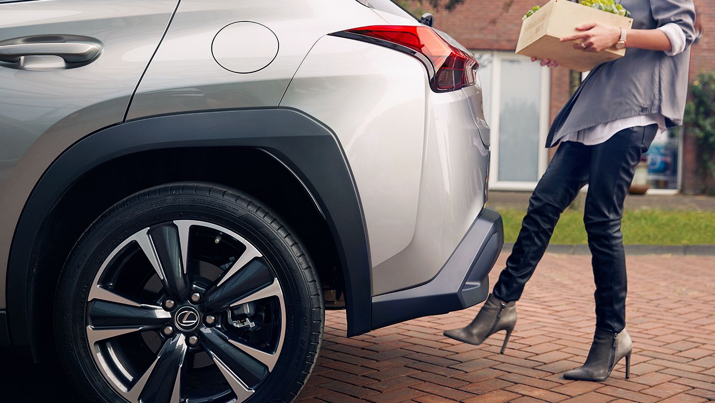 2025 Lexus UX 300h Trunk Access