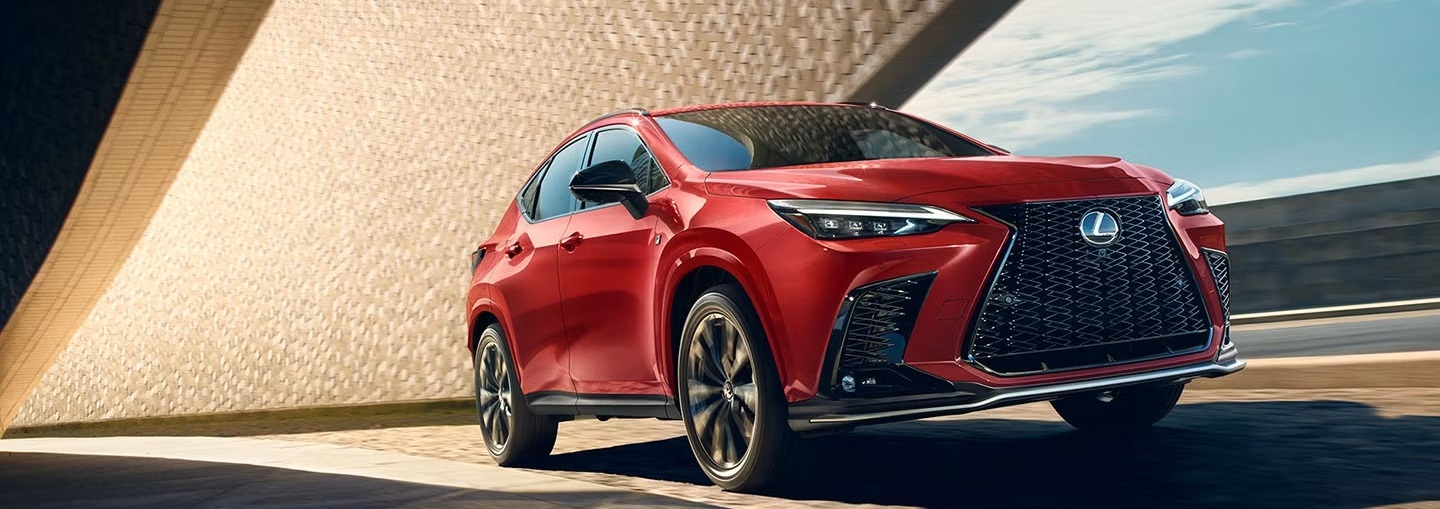 2025 Lexus NX 350 for Sale near East Hampton, NY