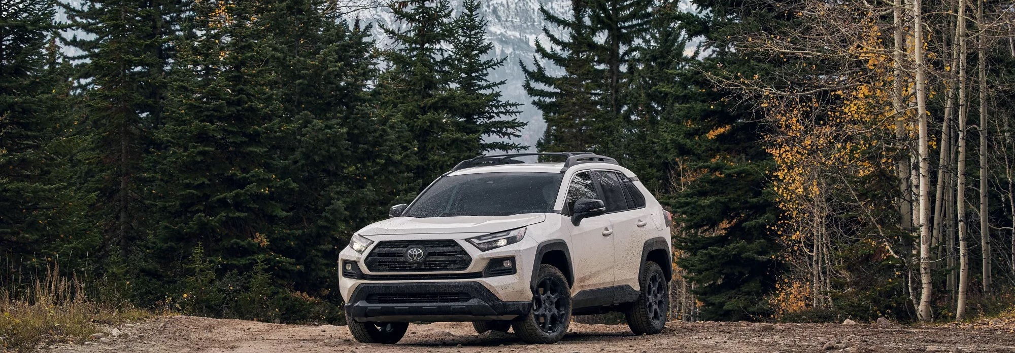 2024 Toyota RAV4 XLE Overview near Massapequa, NY Toyota of Massapequa