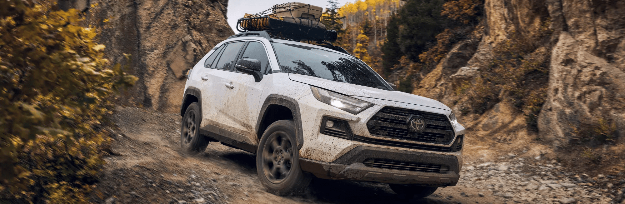 2024 Toyota RAV4 for Sale near Nicholasville, KY