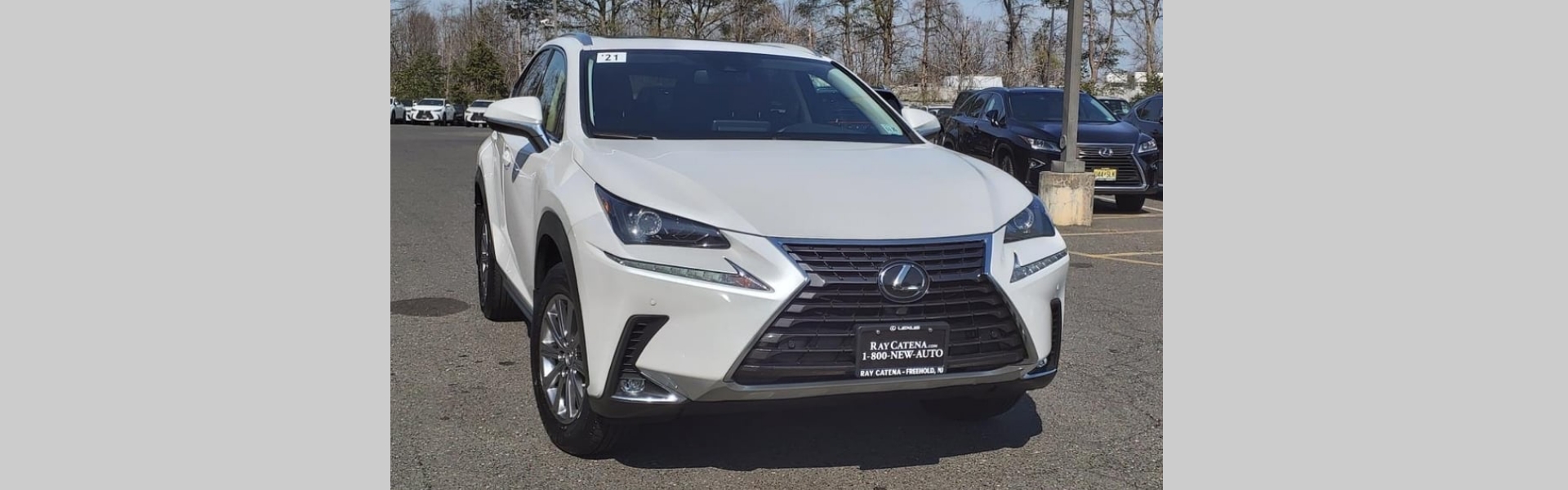 pre-owned-special-offers-lexus-of-freehold-in-freehold-new-jersey