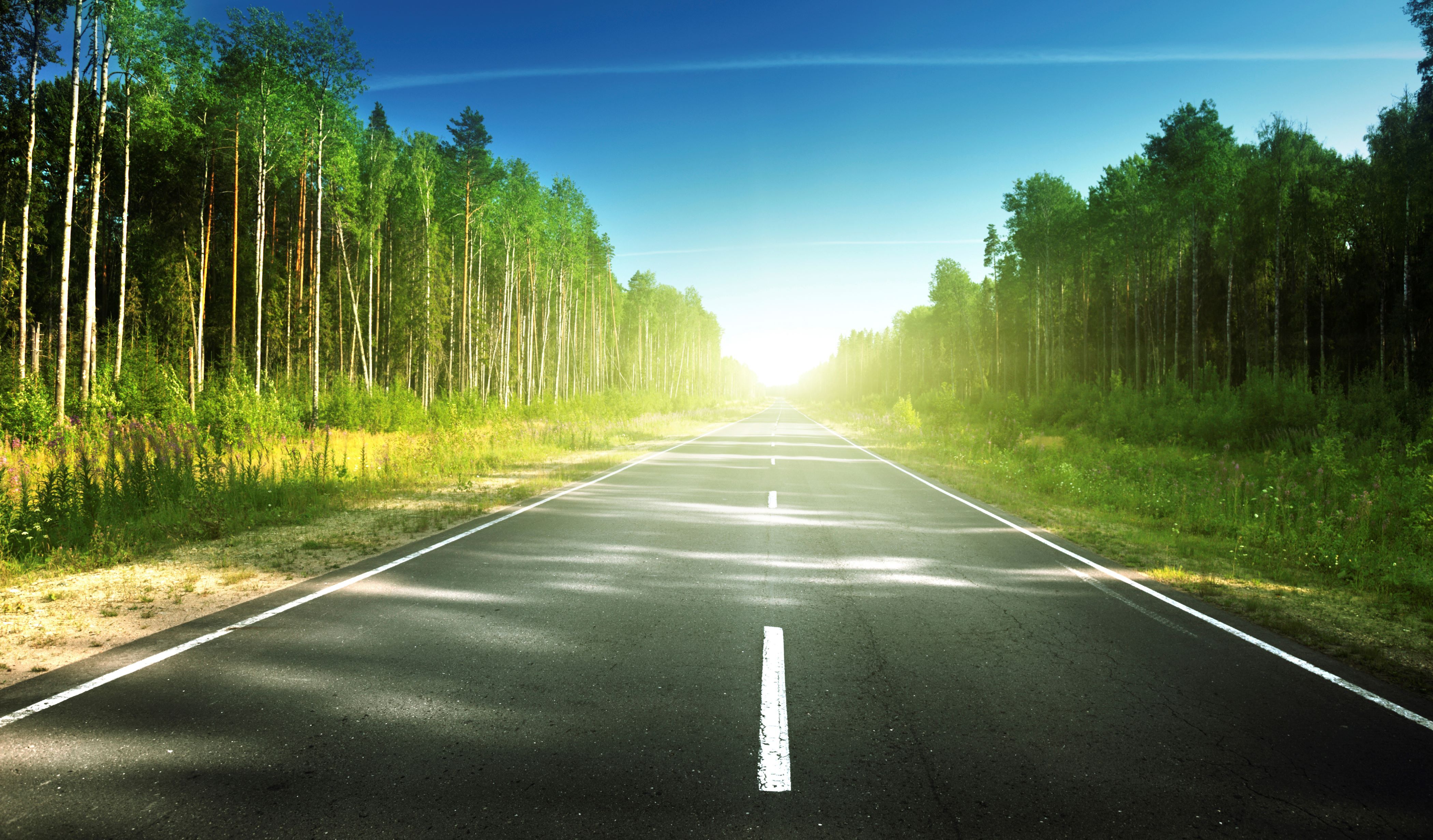 Explore Cypress in a Used Honda Accord Hybrid!