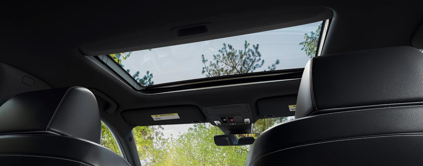 The moonroof in a 2025 Honda Civic Sport Touring Hybrid is open with a view of trees.