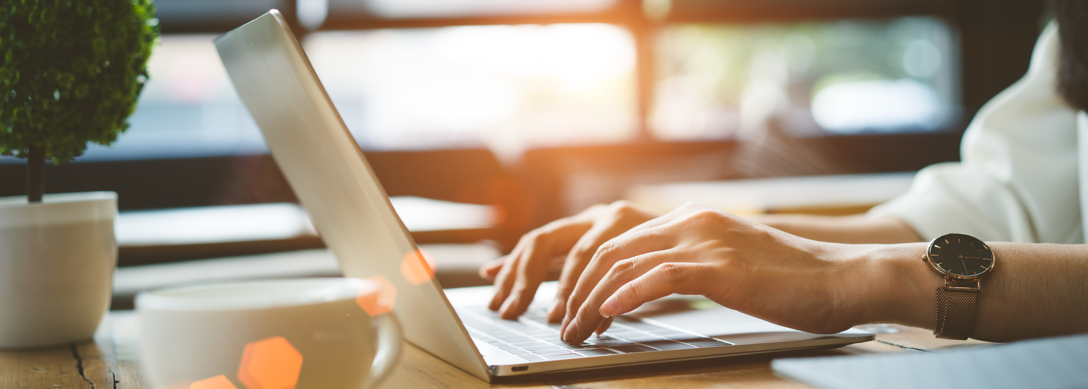 Schedule An Appointment Online Today!