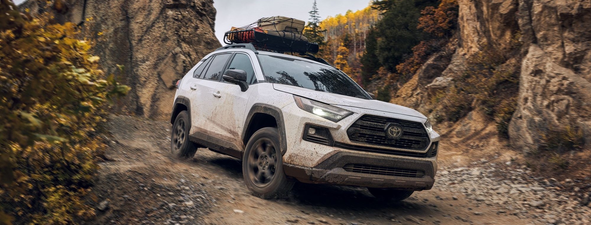 2024 Toyota RAV4 for Sale near Valley Stream, NY