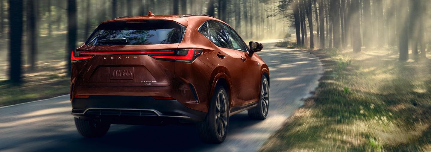 2025 Lexus NX 350 for Sale near Merrick, NY