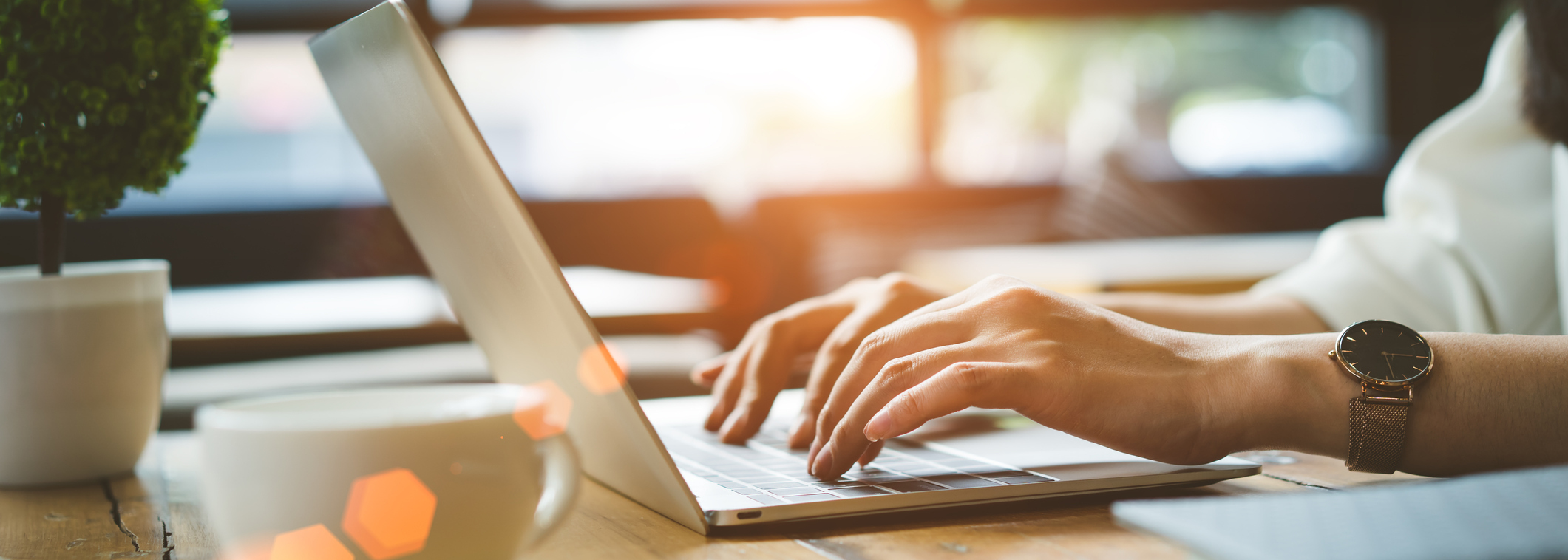 Schedule An Appointment Online Today!