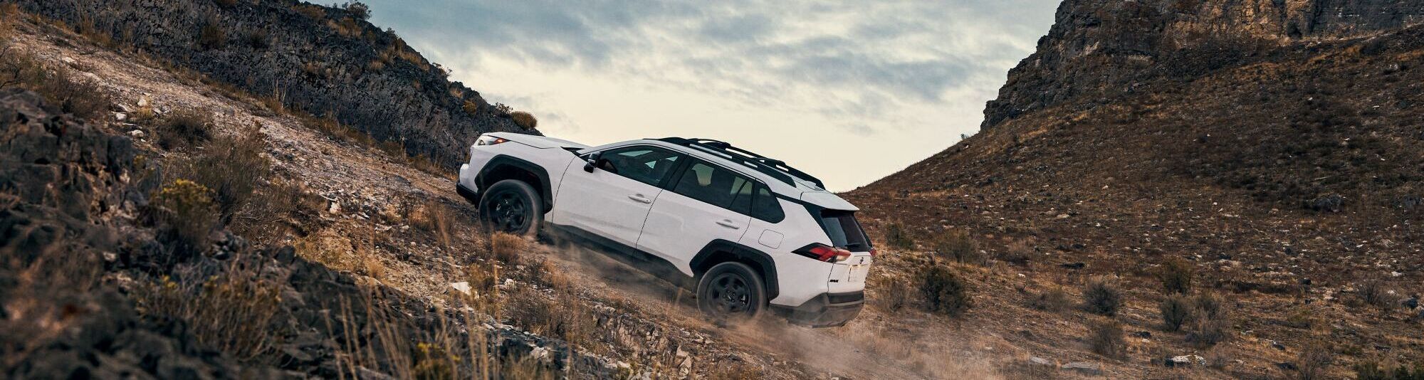 Used Toyota RAV4 for Sale near Santa Barbara, CA